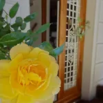Bed & Breakfast Prenditempo