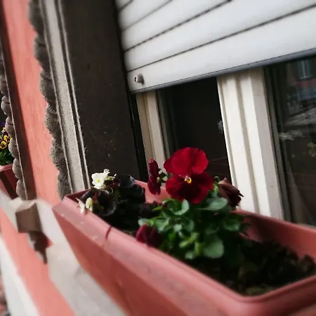 فندق مبيت وإفطار Prenditempo 3*