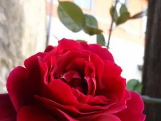 Prenditempo فندق مبيت وإفطار