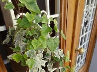 فندق مبيت وإفطار Prenditempo